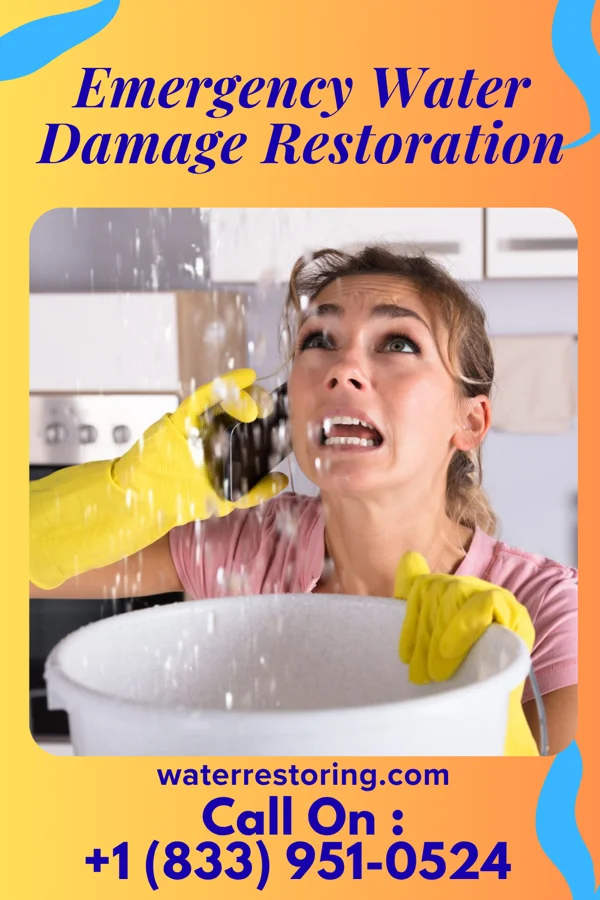 Emergency Water Damage Restoration in Okawville, IL