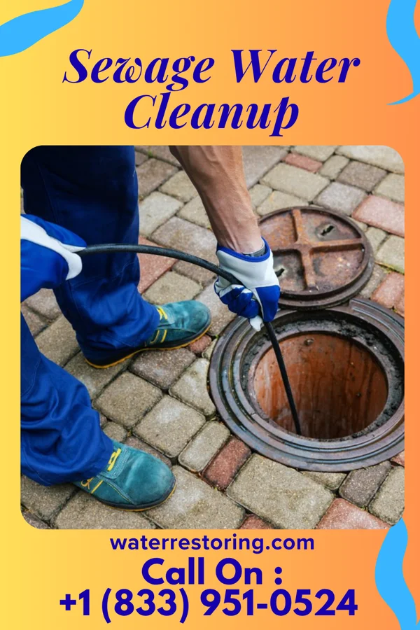 Sewage Water Cleanup in Okawville, IL