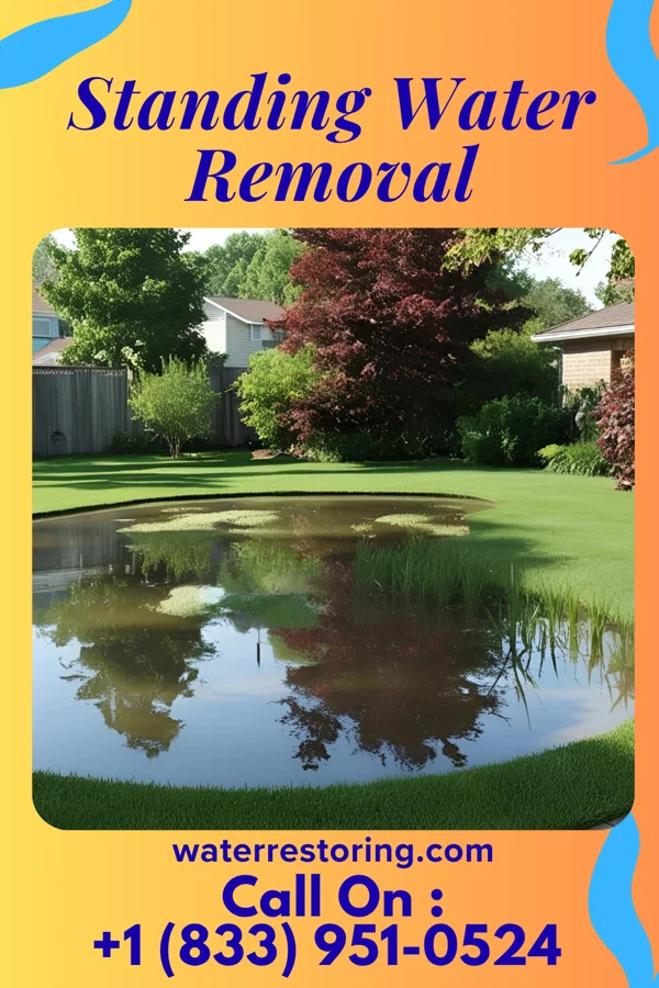 Standing Water Removal in Okawville, IL